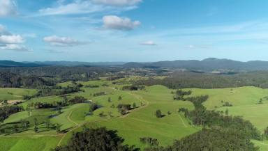 Lifestyle Sold - NSW - Bellangry - 2446 - High Rainfall Grazing  (Image 2)