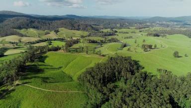 Lifestyle Sold - NSW - Bellangry - 2446 - High Rainfall Grazing  (Image 2)