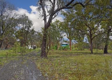 House Sold - QLD - Pacific Haven - 4659 - IDEAL LIFESTYLE RURAL PROPERTY  (Image 2)
