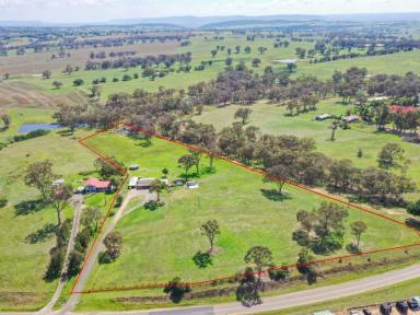 House For Sale - NSW - Young - 2594 - 10acs* Only Minutes To Town  (Image 2)
