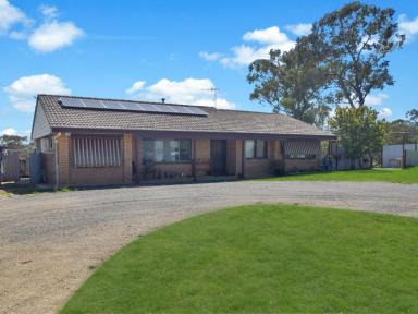 House For Sale - NSW - Young - 2594 - 10acs* Only Minutes To Town  (Image 2)