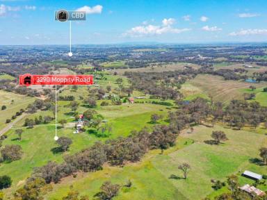 House For Sale - NSW - Young - 2594 - 10acs* Only Minutes To Town  (Image 2)