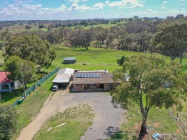 House For Sale - NSW - Young - 2594 - 10acs* Only Minutes To Town  (Image 2)