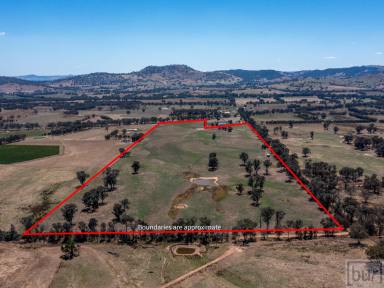 Residential Block For Sale - VIC - Indigo Valley - 3688 - Outstanding Rural Lifestyle Allotment in Highly Regarded Valley  (Image 2)