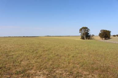 Mixed Farming For Sale - SA - Lameroo - 5302 - Well Positioned Southern Mallee Rural Lifestyle Property  (Image 2)