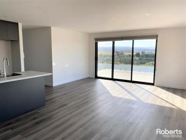 House Leased - TAS - Swansea - 7190 - Brand New Unit  (Image 2)