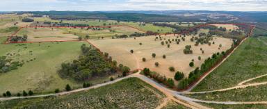 Other (Rural) For Sale - NSW - Burraga - 2795 - Cherry Tree  (Image 2)