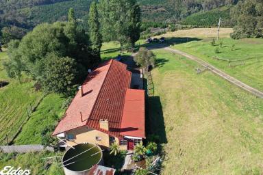 Farmlet For Sale - VIC - Carrajung Lower - 3844 - ELEVATED SERENITY, ENDLESS VIEWS AND ACREAGE AWAITS!  (Image 2)
