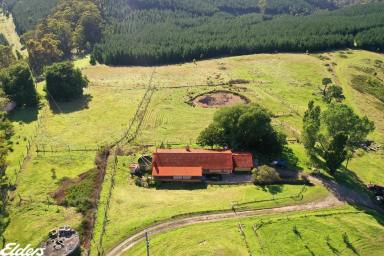 Farmlet For Sale - VIC - Carrajung Lower - 3844 - ELEVATED SERENITY, ENDLESS VIEWS AND ACREAGE AWAITS!  (Image 2)