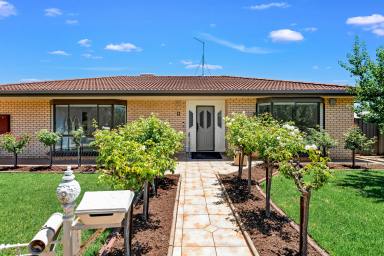 House Sold - VIC - Mildura - 3500 - A Family Home with Flair  (Image 2)