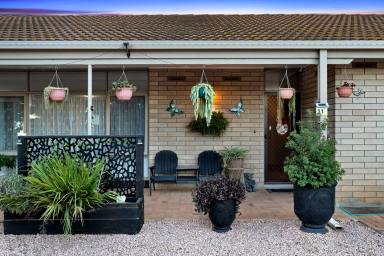 House Sold - VIC - Merbein - 3505 - Spacious Property Goals!  (Image 2)