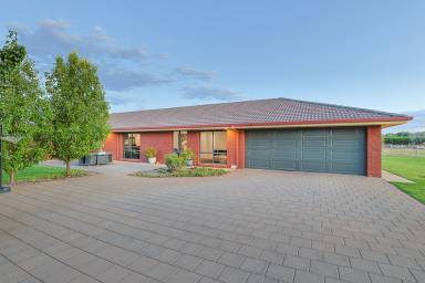 House Sold - NSW - Gol Gol - 2738 - Contemporary Family Living!  (Image 2)