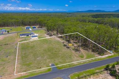 Residential Block Sold - NSW - Verges Creek - 2440 - High Set, Great Position!  (Image 2)