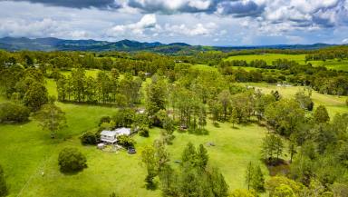 Acreage/Semi-rural Sold - QLD - Kandanga - 4570 - Large Family Home on 10 Acres in the Mary Valley!  (Image 2)
