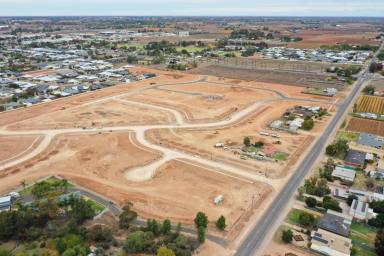 Residential Block Sold - VIC - Irymple - 3498 - VACANT LAND WITH TITLE  (Image 2)