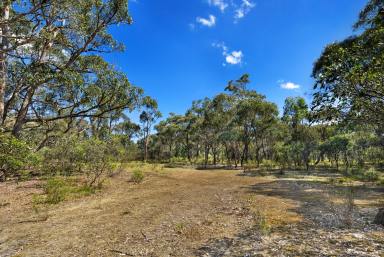 Residential Block Sold - VIC - Beaufort - 3373 - 10.71HA (26.46 Acres) A Great Block With Loads of Options  (Image 2)