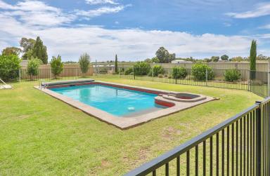 House Sold - VIC - Mildura - 3500 - 2 ACRE HOBBY FARM  (Image 2)