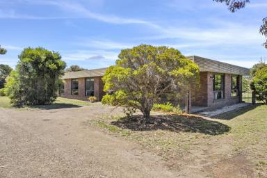 House For Sale - TAS - Penna - 7171 - Your Dream Retreat Awaits! 5-Bedroom Haven on approx. 4 Acres with Bonus 2-Bed Cottage, just 20 minutes' drive from Hobart  (Image 2)