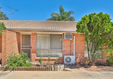 Unit Sold - VIC - Mildura - 3500 - LOCATION DOESN&apos;T GET ANY BETTER  (Image 2)