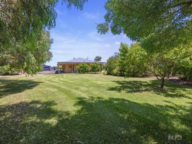 Acreage/Semi-rural For Sale - VIC - Nerrena - 3953 - Quality home, rural views and motivated vendor!  (Image 2)
