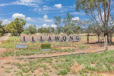 Other (Rural) For Sale - VIC - Nanneella - 3561 - Welcome to Illawong: Your Idyllic Oasis on 27 Acres!  (Image 2)