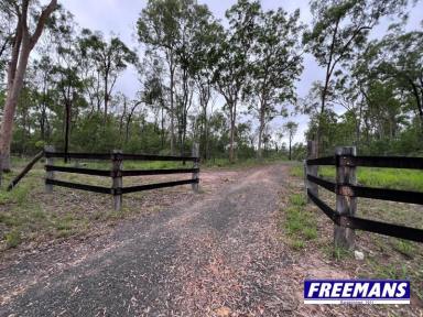 House For Sale - QLD - Coverty - 4613 - 100 acres with 2 dams and a seasonal creek  (Image 2)