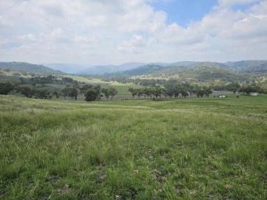 Mixed Farming For Sale - nsw - Cassilis - 2329 - Very Well Established Weekender  (Image 2)