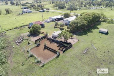 Acreage/Semi-rural For Sale - QLD - Forest Hill - 4342 - The Complete Package on 63 Acres  (Image 2)