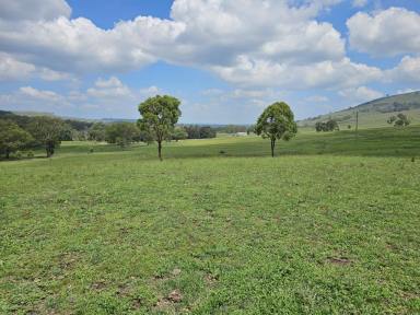 Mixed Farming For Sale - nsw - Cassilis - 2329 - 21 Acres On The Creek  (Image 2)