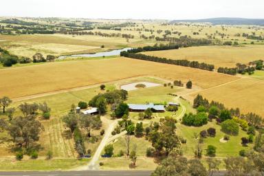 Lifestyle For Sale - NSW - Young - 2594 - Scenic acres, Your own oasis  (Image 2)
