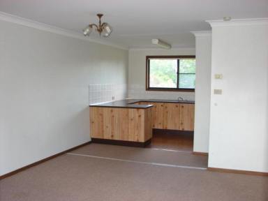 Apartment Leased - NSW - Muswellbrook - 2333 - NEAT AND SECURE TWO (2x) BEDROOM UNIT  (Image 2)
