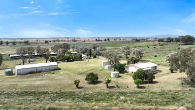 Mixed Farming Sold - NSW - Tamworth - 2340 - QUALITY LAND WITH MULTIPLE INCOME STREAMS - 2 HOMES  (Image 2)