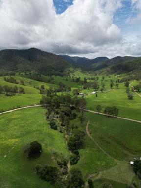 Other (Rural) For Sale - NSW - Kempsey - 2440 - Macleay River Grazing  (Image 2)