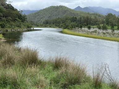 Other (Rural) For Sale - NSW - Kempsey - 2440 - Macleay River Grazing  (Image 2)