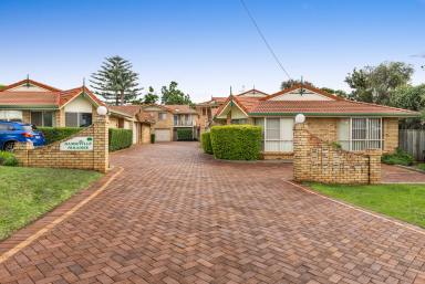 Unit Sold - QLD - Rangeville - 4350 - Tidy Brick Unit in Sought-after Suburb  (Image 2)