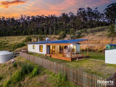 House Sold - TAS - Nugent - 7172 - Living with Nature with Stunning views  (Image 2)
