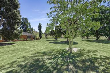 Acreage/Semi-rural Sold - VIC - Gobur - 3719 - Rural Retreat on 167 Acres With Income Potential  (Image 2)