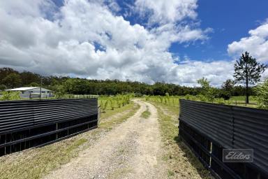 Residential Block Sold - QLD - Glenwood - 4570 - TINY HOME  (Image 2)