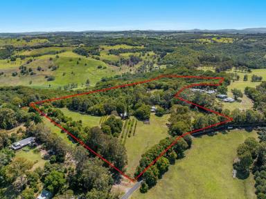 Lifestyle For Sale - NSW - Corndale - 2480 - Cosy Country Lifestyle in Corndale.  (Image 2)