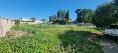 Residential Block For Sale - VIC - Swan Hill - 3585 - Affordable Land / Investment opportunity.  (Image 2)