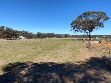 Residential Block Sold - SA - Keyneton - 5353 - Quality lifestyle property. Well fenced, mains water, productive, arable, flat country. Perfect for your special country residence (STCC).  (Image 2)