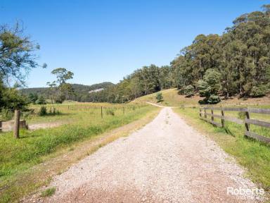 Residential Block Sold - TAS - Tugrah - 7310 - Prime Property : 137 Acres (approx.) of Versatile Land with Don River Access - Could be your next home!  (Image 2)