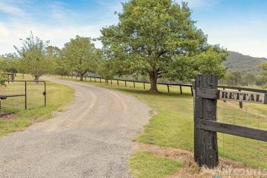 Acreage/Semi-rural Sold - NSW - Paterson - 2421 - "RETTAL" A Much Loved Homestead on Picturesque Grazing Farmland  (Image 2)