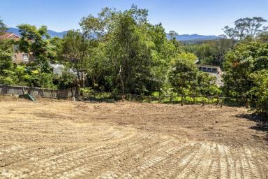Residential Block For Sale - NSW - Bellingen - 2454 - INDEED A RARE IN-TOWN BLOCK OF LAND  (Image 2)