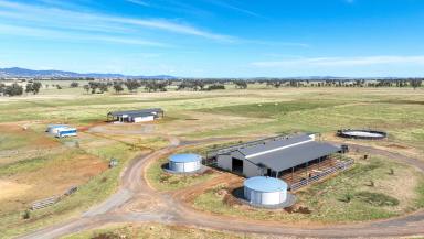 Lifestyle Sold - NSW - Tamworth - 2340 - WELL DEVELOPED EQUINE PROPERTY CLOSE TO TAMWORTH  (Image 2)