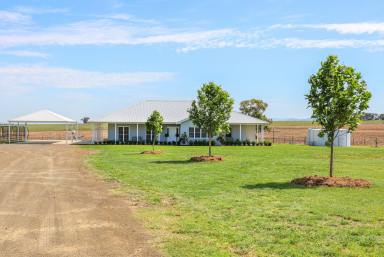 Mixed Farming Sold - NSW - Tamworth - 2340 - GLENORE - THE IDEAL FUSION OF PRODUCTION AND LIFESTYLE  (Image 2)