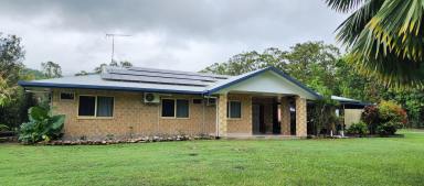 Acreage/Semi-rural Sold - QLD - Cardwell - 4849 - Large 3 bedroom + office rural residence with pool, high clearance shed & room to move  (Image 2)