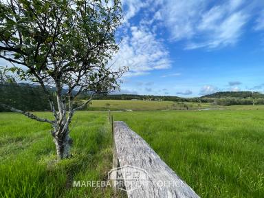 Acreage/Semi-rural Sold - QLD - Julatten - 4871 - 37 ACRE ELEVATED LIFESTYLE/GRAZING BLOCK  (Image 2)