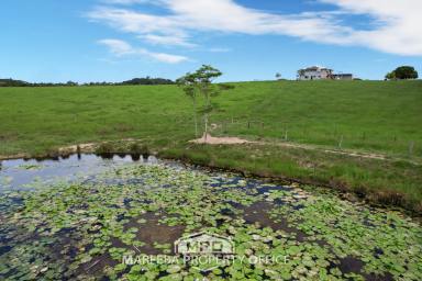 Acreage/Semi-rural Sold - QLD - Julatten - 4871 - 37 ACRE ELEVATED LIFESTYLE/GRAZING BLOCK  (Image 2)