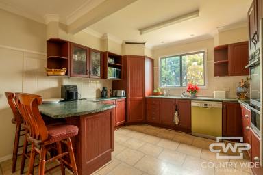 House Sold - NSW - Glen Innes - 2370 - Charming 3-Bedroom Home  (Image 2)